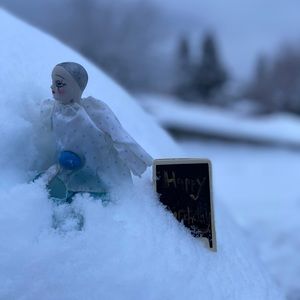 Meet your Posher, Heather